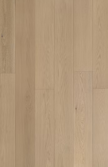 Red Oak engineered flooring – Eclipse – close-up sample texture, smooth grain with light variation